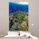 Reef Scene With Orange-Fin Anemonefish School Wall Mural