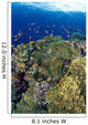Reef Scene With Orange-Fin Anemonefish School Wall Mural