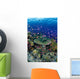 Hard Coral Reef Scene With School Lyretail Anthias Surface Visible Wall Mural