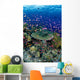 Hard Coral Reef Scene With School Lyretail Anthias Surface Visible Wall Mural