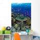 Hard Coral Reef Scene With School Lyretail Anthias Surface Visible Wall Mural