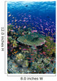 Hard Coral Reef Scene With School Lyretail Anthias Surface Visible Wall Mural