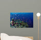 Fiji, Hard Coral Reef Scene With School Lyretail Anthias Surface Wall Mural