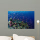 Fiji, Hard Coral Reef Scene With School Lyretail Anthias Surface Wall Mural