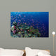 Fiji, Hard Coral Reef Scene With School Lyretail Anthias Surface Wall Mural