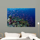 Fiji, Hard Coral Reef Scene With School Lyretail Anthias Surface Wall Mural