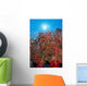 Sunburst Background Dendronephthya Sp? Wall Mural