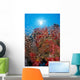 Sunburst Background Dendronephthya Sp? Wall Mural