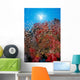 Sunburst Background Dendronephthya Sp? Wall Mural