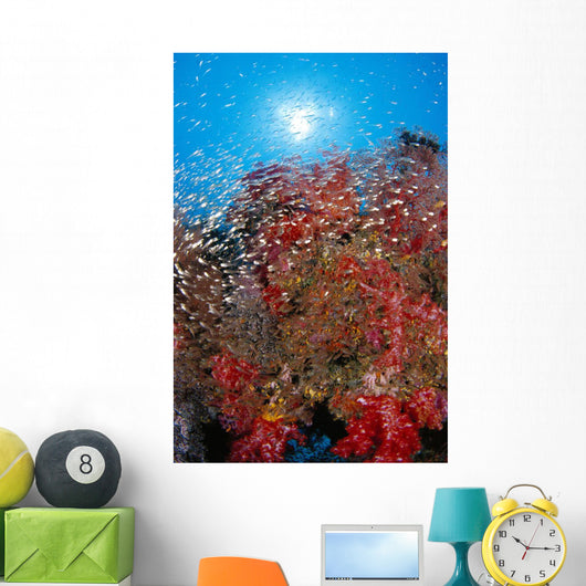 Sunburst Background Dendronephthya Sp? Wall Mural