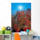 Sunburst Background Dendronephthya Sp? Wall Mural