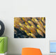 Thailand, Schooling Pygmy Sweepers Wall Mural