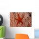 Thailand, Sea Star Aka Starfish Gorgonian Coral Red And White Wall Mural