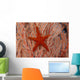 Thailand, Sea Star Aka Starfish Gorgonian Coral Red And White Wall Mural