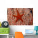 Thailand, Sea Star Aka Starfish Gorgonian Coral Red And White Wall Mural
