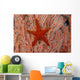 Thailand, Sea Star Aka Starfish Gorgonian Coral Red And White Wall Mural