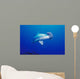 Close-Up Scalloped Hammerhead Shark Wall Mural