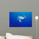 Close-Up Scalloped Hammerhead Shark Wall Mural