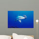 Close-Up Scalloped Hammerhead Shark Wall Mural