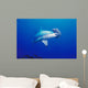Close-Up Scalloped Hammerhead Shark Wall Mural