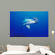 Close-Up Scalloped Hammerhead Shark Wall Mural