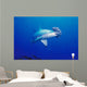 Close-Up Scalloped Hammerhead Shark Wall Mural