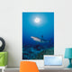 Thailand, Silvertip Shark Over Reef, Sunburst Wall Mural
