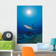 Thailand, Silvertip Shark Over Reef, Sunburst Wall Mural
