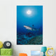 Thailand, Silvertip Shark Over Reef, Sunburst Wall Mural