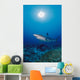 Thailand, Silvertip Shark Over Reef, Sunburst Wall Mural