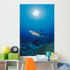 Thailand, Silvertip Shark Over Reef, Sunburst Wall Mural