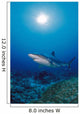 Thailand, Silvertip Shark Over Reef, Sunburst Wall Mural