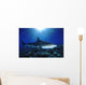 Hawaii, Tiger Shark Over Reef, Sunburst Wall Mural