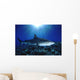Hawaii, Tiger Shark Over Reef, Sunburst Wall Mural