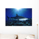 Hawaii, Tiger Shark Over Reef, Sunburst Wall Mural