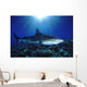 Hawaii, Tiger Shark Over Reef, Sunburst Wall Mural