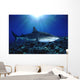 Hawaii, Tiger Shark Over Reef, Sunburst Wall Mural