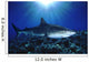 Hawaii, Tiger Shark Over Reef, Sunburst Wall Mural