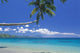Fiji, Kadavu Island, Palm Tree Stretched Over Turquoise Coastline Wall Mural