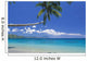 Fiji, Kadavu Island, Palm Tree Stretched Over Turquoise Coastline Wall Mural
