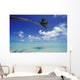 French Polynesia, Bora Bora, Palm Tree Over Turquoise Water Shadows Wall Mural