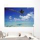 French Polynesia, Bora Bora, Palm Tree Over Turquoise Water Shadows Wall Mural