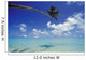 French Polynesia, Bora Bora, Palm Tree Over Turquoise Water Shadows Wall Mural