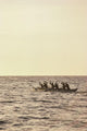 Paddlers Silhouetted On Ocean Wall Mural
