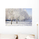 winter birch trees alley Wall Mural