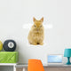Small  rabbit Wall Decal