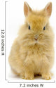 Small  rabbit Wall Decal