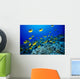 Schooling Raccoon Butterflyfish Over Reef Wall Mural