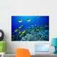 Schooling Raccoon Butterflyfish Over Reef Wall Mural