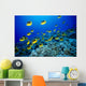 Schooling Raccoon Butterflyfish Over Reef Wall Mural